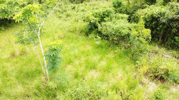 Sixteenth image of Emlie, Kitson Town in KITSON TOWN, St. Catherine, Jamaica - property is For Sale