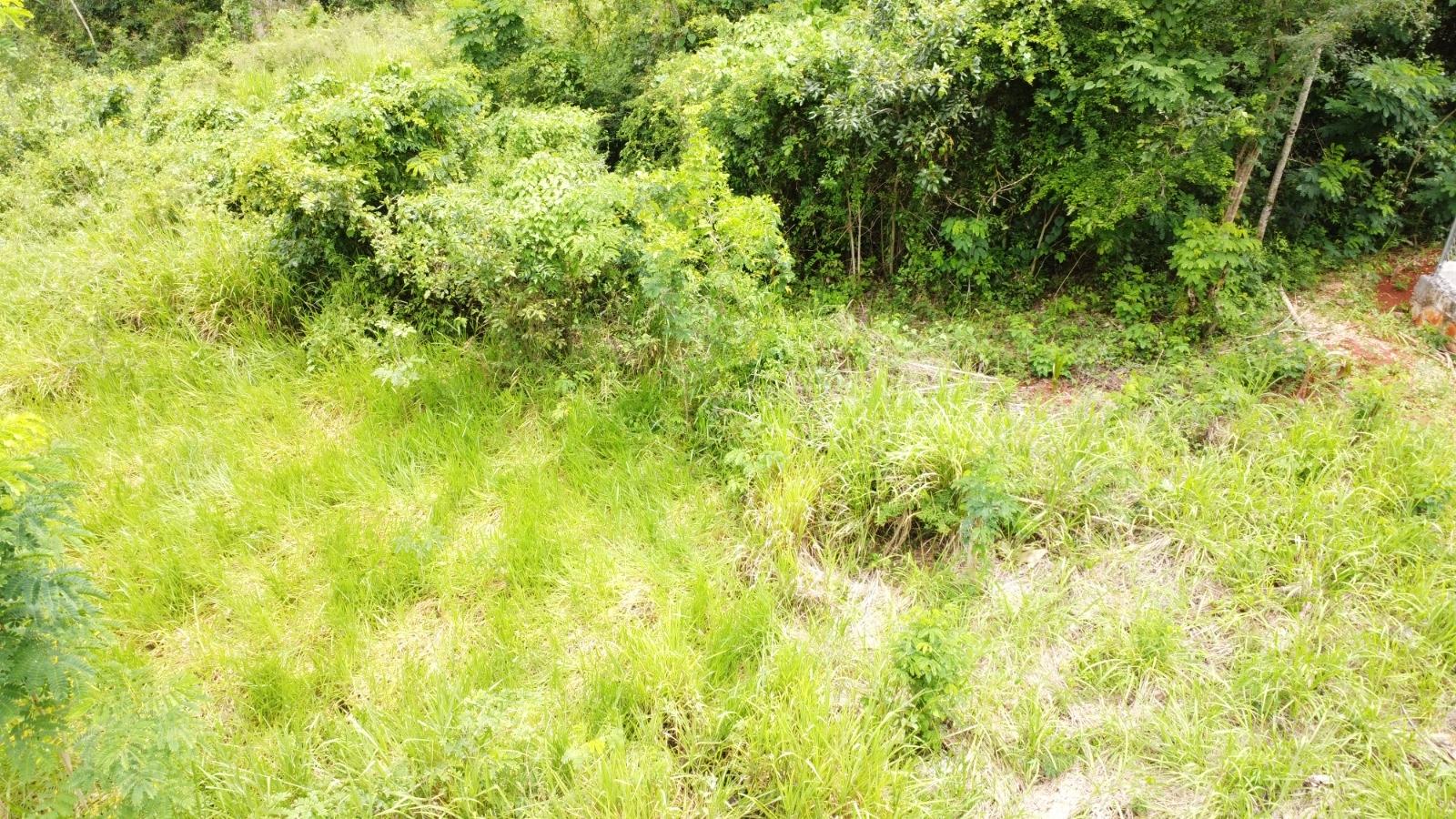 Seventeenth image of Emlie, Kitson Town in KITSON TOWN, St. Catherine, Jamaica - property is For Sale