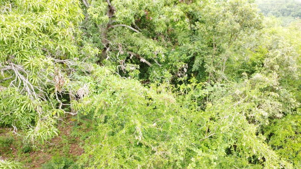 Eighteenth image of Emlie, Kitson Town in KITSON TOWN, St. Catherine, Jamaica - property is For Sale
