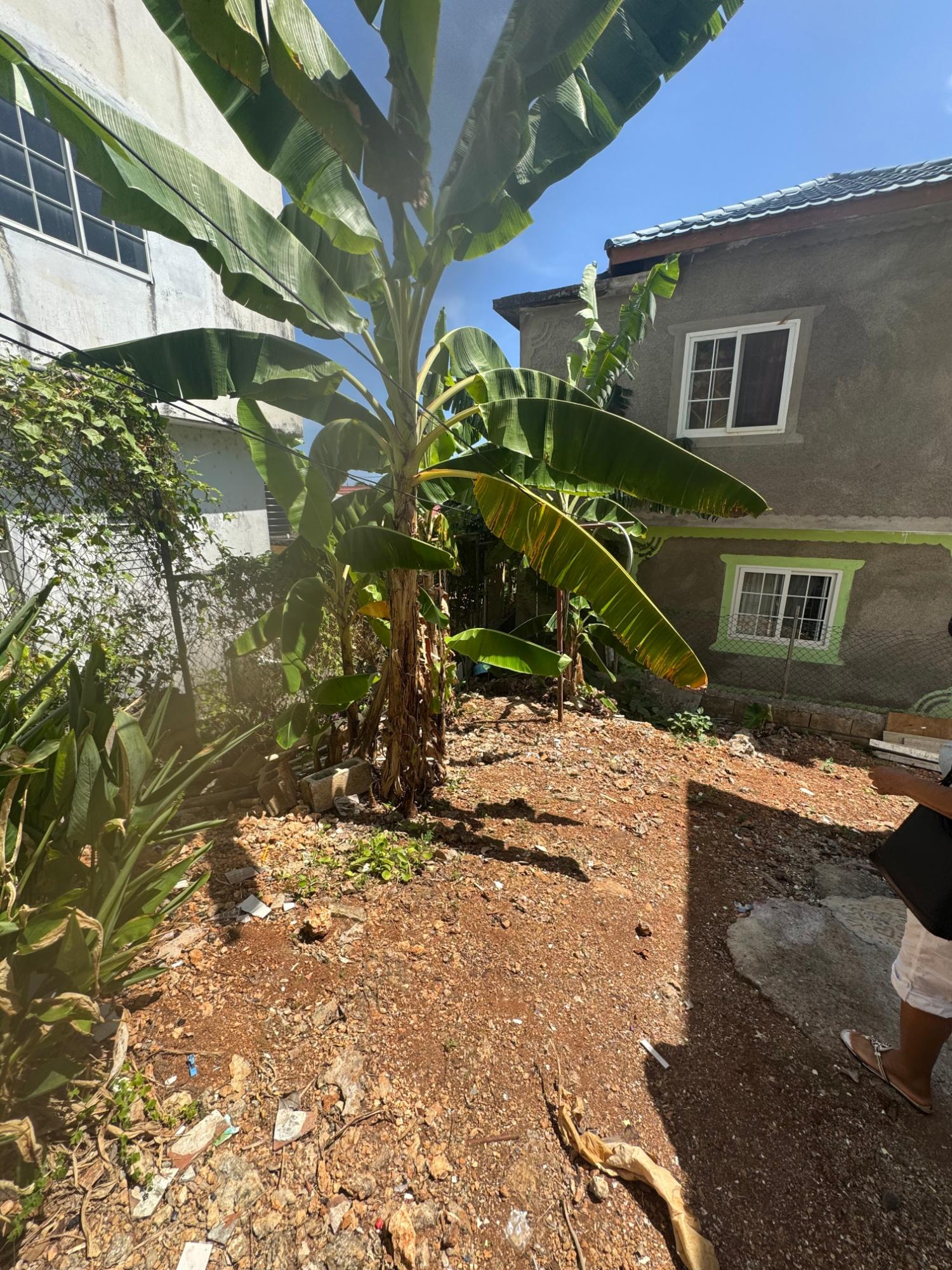 Seventh image of 324 Boscobel in Boscobel, St. Mary, Jamaica - property is For Sale
