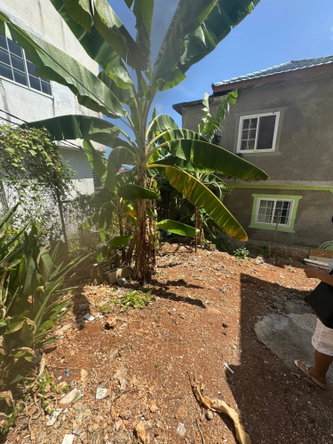 Seventh image of 324 Boscobel in Boscobel, St. Mary, Jamaica - property is For Sale