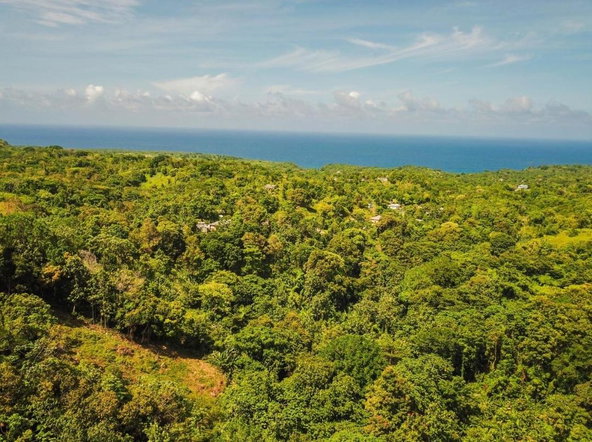 Third image of Islington District in PRIESTMAN RIVER, Portland, Jamaica - property is For Sale