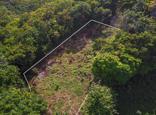 Fifth image of Islington District in PRIESTMAN RIVER, Portland, Jamaica - property is For Sale