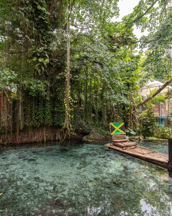 Ninth image of 24d- Turtle Towers in Ocho Rios, St. Ann, Jamaica - property is For Sale
