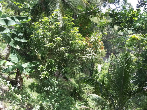 Twenty-Second image of Brandon Hill / Zion Hill in Brandon Hill, St. Andrew, Jamaica - property is For Sale