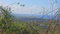 First image of 246b Pietro Clse, Cardiff Hall in Runaway Bay, St. Ann, Jamaica - property is For Sale