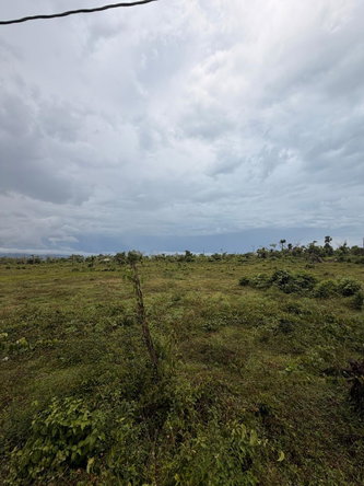 First image of Spring Park in Spring Park Meadows, St. Elizabeth, Jamaica - property is For Sale