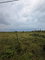 First image of Spring Park in Spring Park Meadows, St. Elizabeth, Jamaica - property is For Sale
