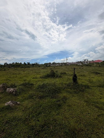 Fourth image of 23d Spring Park in Spring Park Meadows, St. Elizabeth, Jamaica - property is For Sale