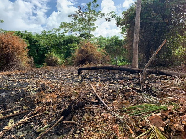 First image of Hope Bay, Portland in Hope Bay, Portland, Jamaica - property is For Sale