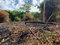 First image of Hope Bay, Portland in Hope Bay, Portland, Jamaica - property is For Sale