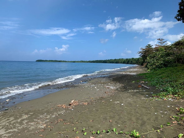 Fourth image of Hope Bay, Portland in Hope Bay, Portland, Jamaica - property is For Sale
