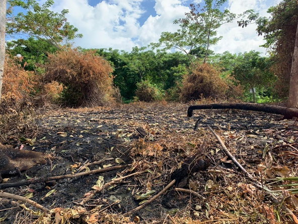 Seventh image of Hope Bay, Portland in Hope Bay, Portland, Jamaica - property is For Sale