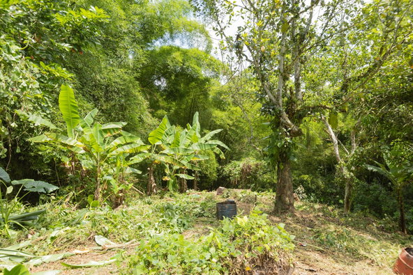 First image of Temple Hall in Golden Spring P.O., St. Andrew, Jamaica - property is For Sale