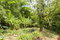 First image of Temple Hall in Golden Spring P.O., St. Andrew, Jamaica - property is For Sale