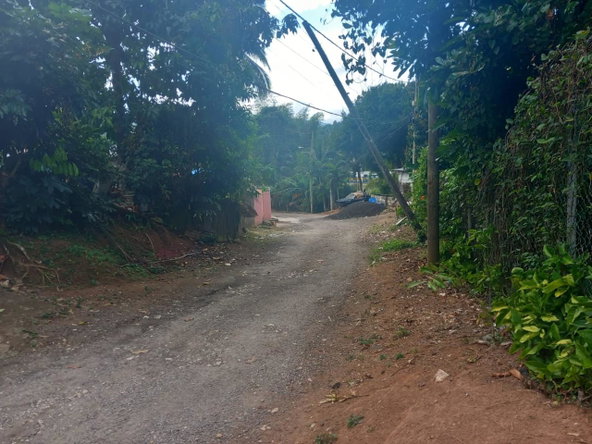 Eleventh image of Temple Hall in Golden Spring P.O., St. Andrew, Jamaica - property is For Sale