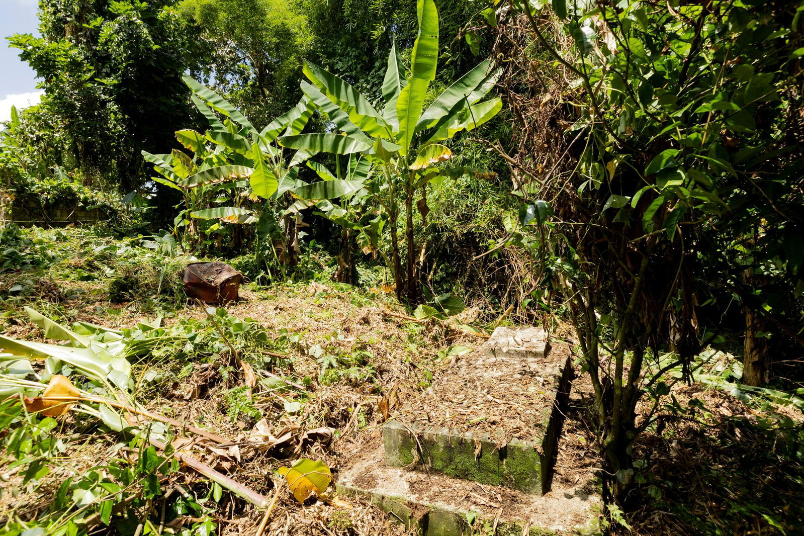Thirteenth image of Temple Hall in Golden Spring P.O., St. Andrew, Jamaica - property is For Sale