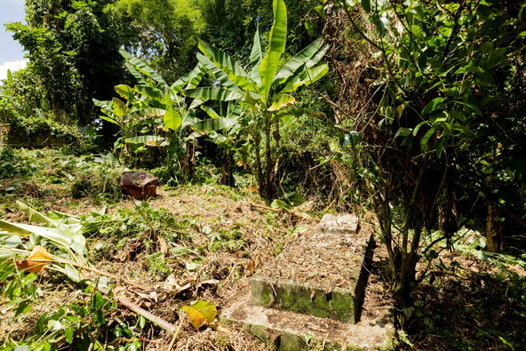 Thirteenth image of Temple Hall in Golden Spring P.O., St. Andrew, Jamaica - property is For Sale