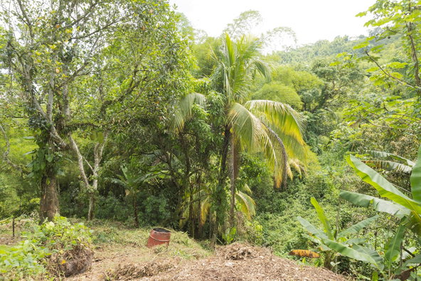 Second image of Temple Hall in Golden Spring P.O., St. Andrew, Jamaica - property is For Sale