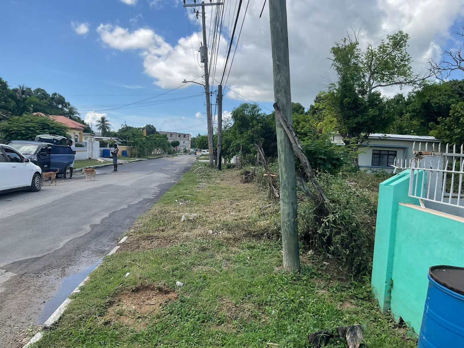 Eleventh image of 23 Poinciana Drive in Twickenham Park, St. Catherine, Jamaica - property is For Rent