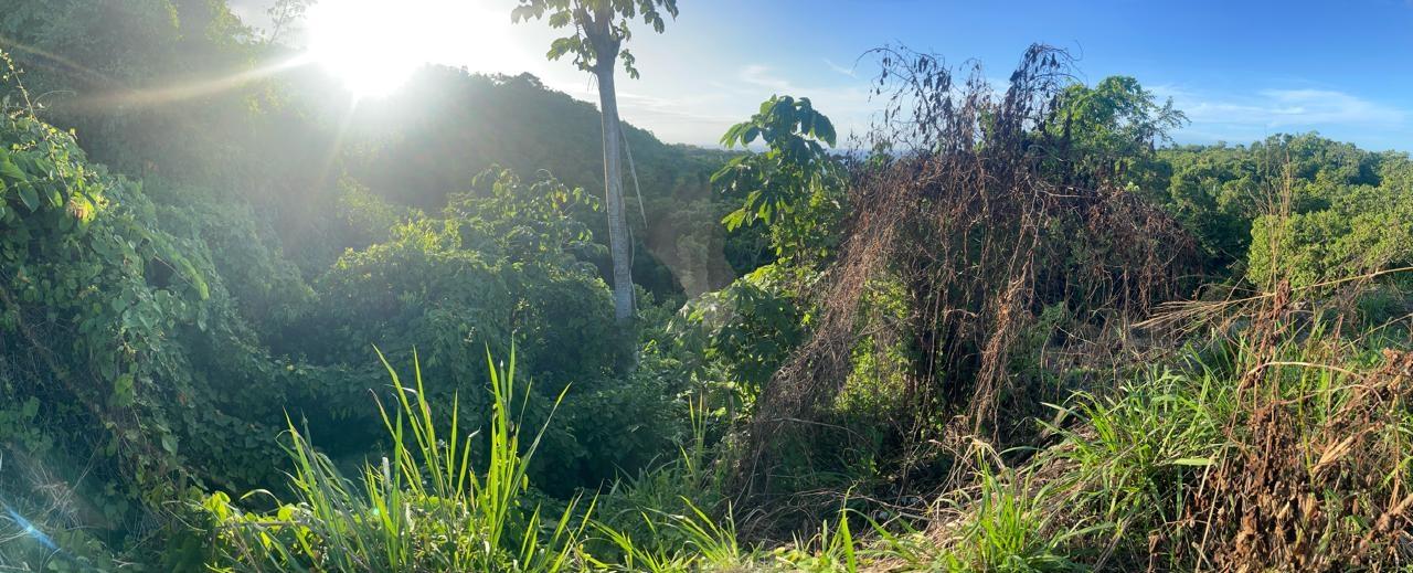 Second image of 581-581 Orchard Gardens in Hopewell, Hanover, Jamaica - property is For Sale