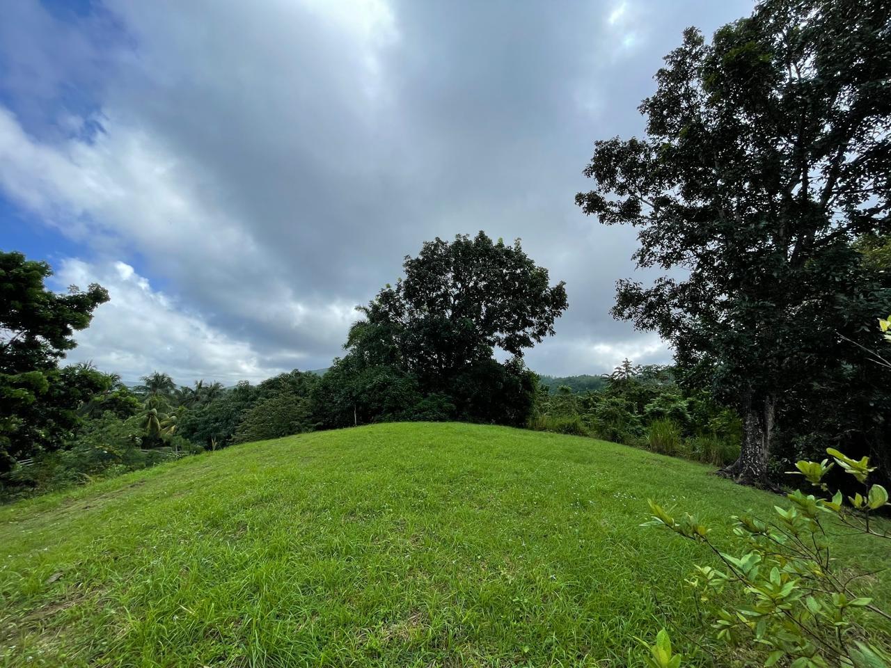 Eleventh image of Hermitage Farm, Portland in Hope Bay, Portland, Jamaica - property is For Sale