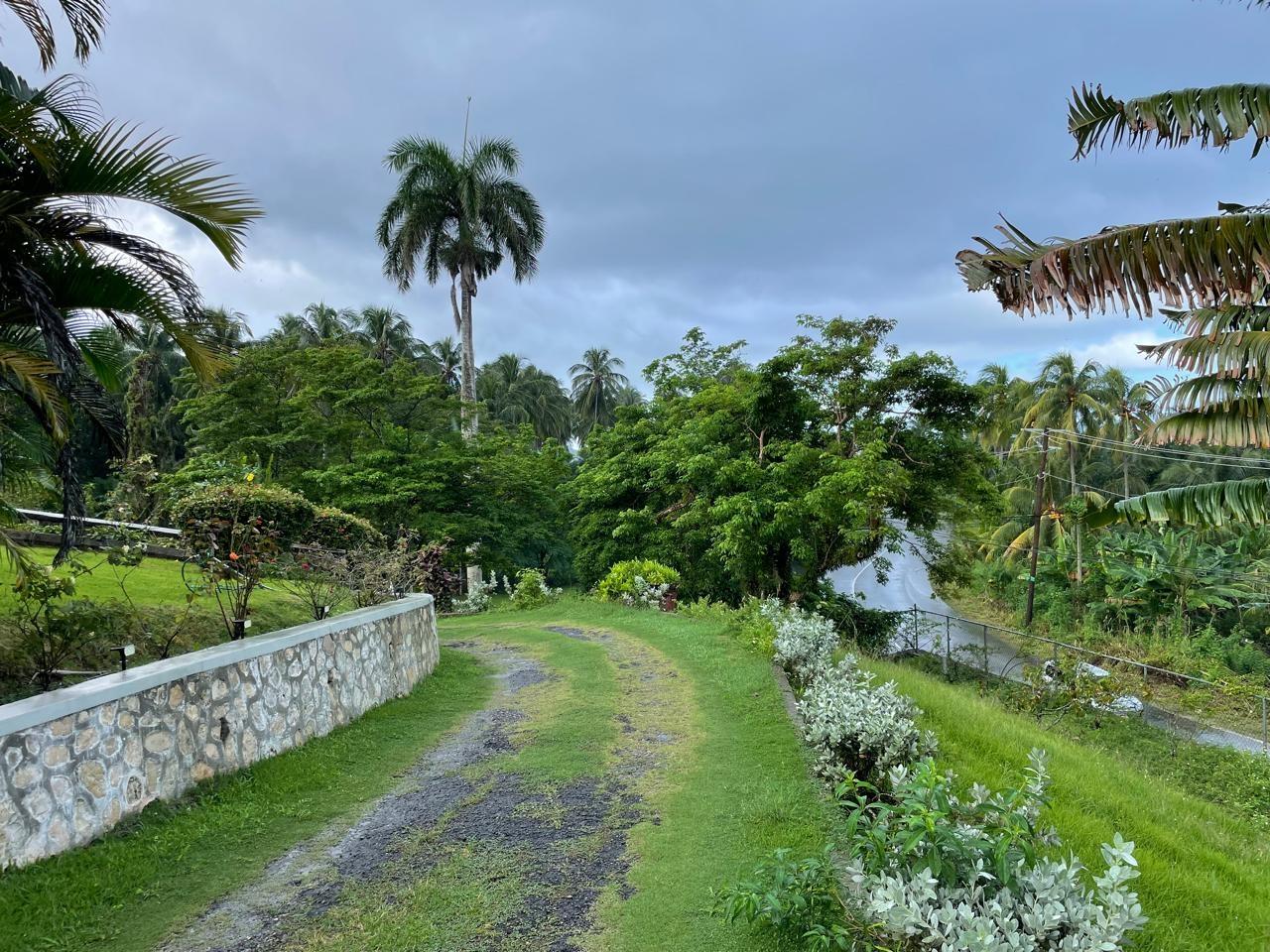 Twelfth image of Hermitage Farm, Portland in Hope Bay, Portland, Jamaica - property is For Sale