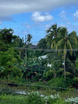 Thirteenth image of Hermitage Farm, Portland in Hope Bay, Portland, Jamaica - property is For Sale