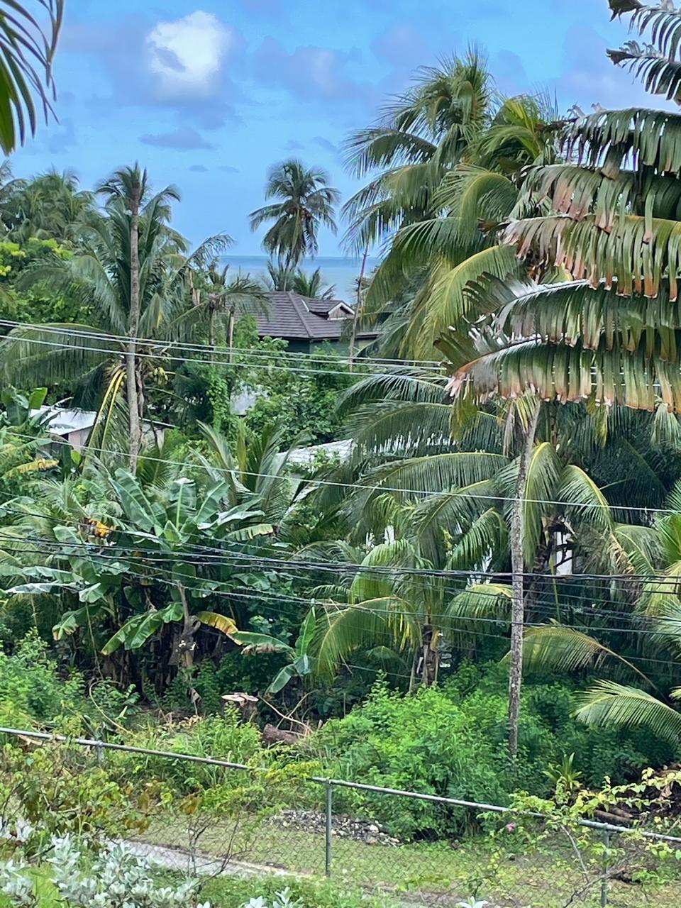Fifteenth image of Hermitage Farm, Portland in Hope Bay, Portland, Jamaica - property is For Sale