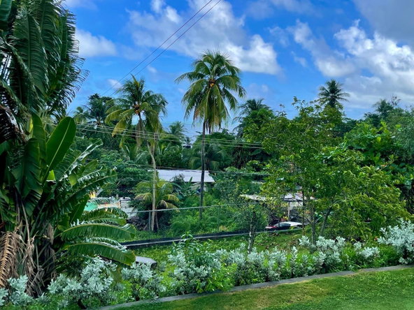 Sixteenth image of Hermitage Farm, Portland in Hope Bay, Portland, Jamaica - property is For Sale