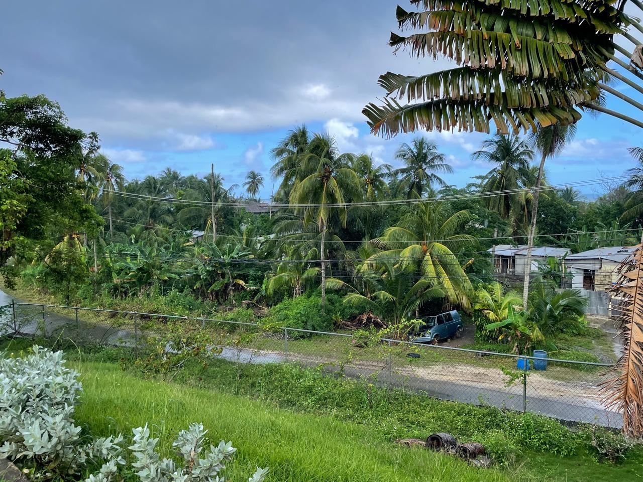 Eighteenth image of Hermitage Farm, Portland in Hope Bay, Portland, Jamaica - property is For Sale