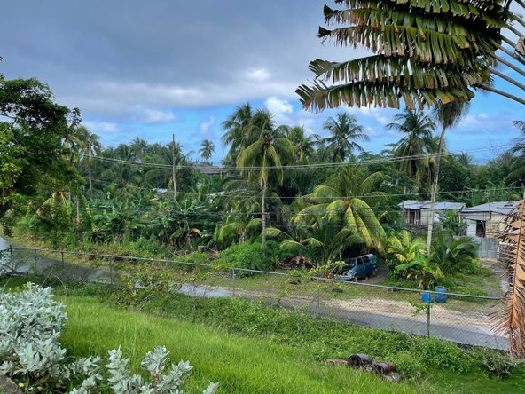 Eighteenth image of Hermitage Farm, Portland in Hope Bay, Portland, Jamaica - property is For Sale