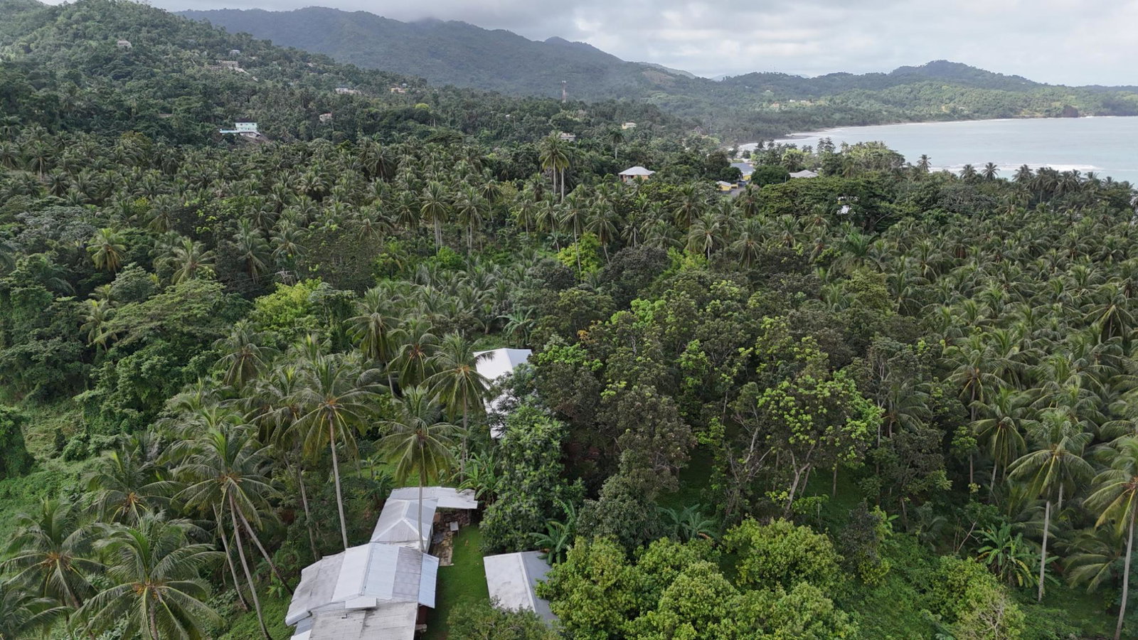 Nineteenth image of Hermitage Farm, Portland in Hope Bay, Portland, Jamaica - property is For Sale