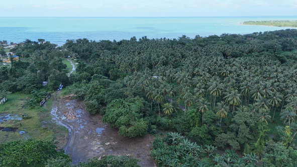 Twenty-Second image of Hermitage Farm, Portland in Hope Bay, Portland, Jamaica - property is For Sale