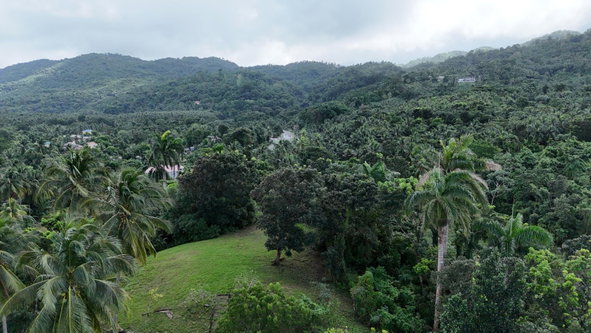 Twenty-Third image of Hermitage Farm, Portland in Hope Bay, Portland, Jamaica - property is For Sale