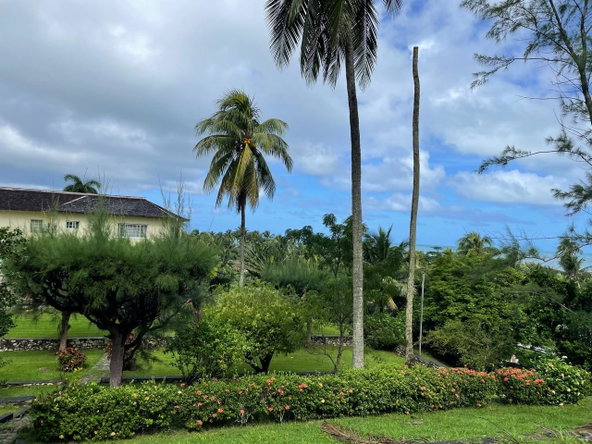 Twenty-Fifth image of Hermitage Farm, Portland in Hope Bay, Portland, Jamaica - property is For Sale