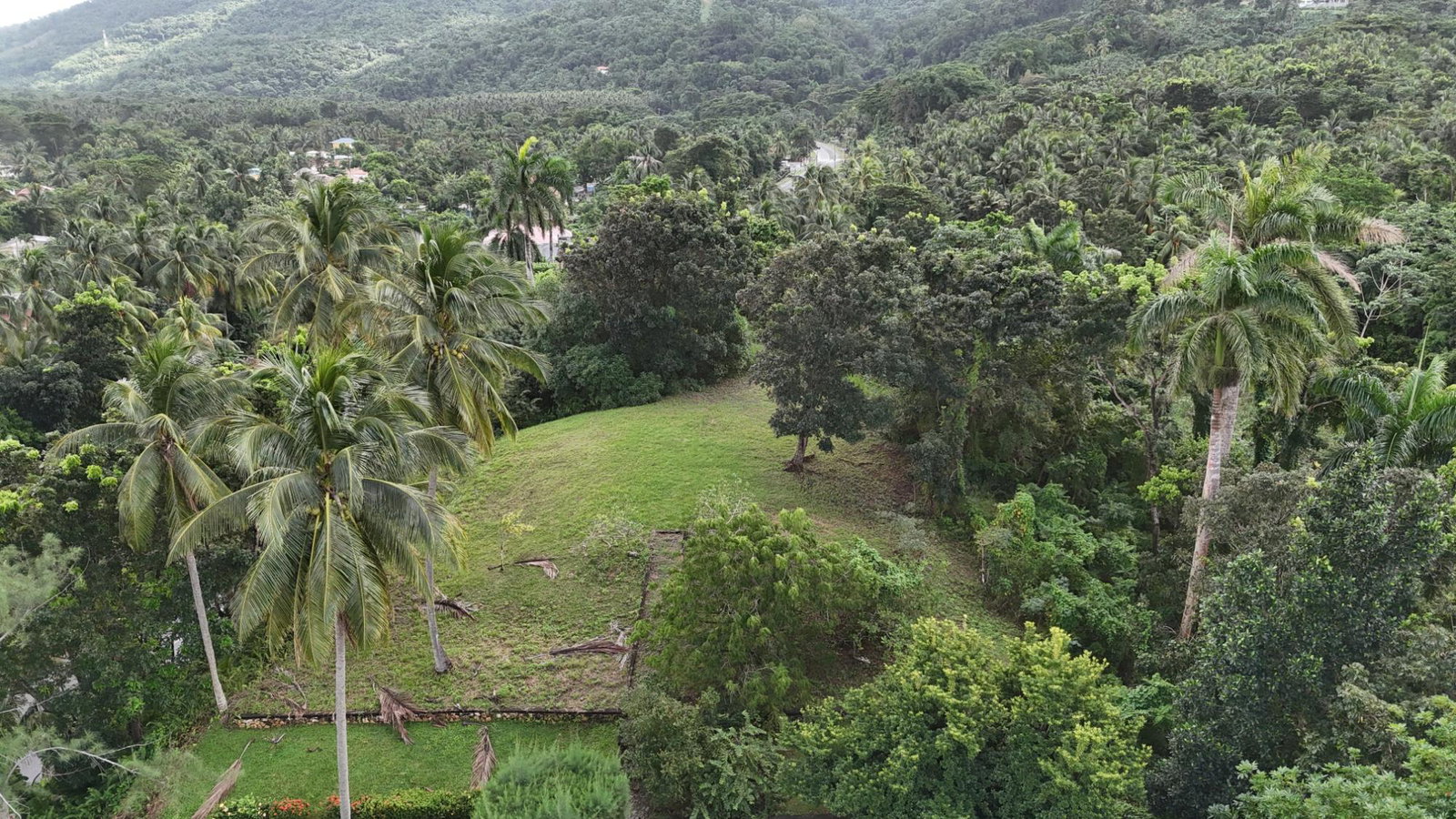 Twenty-Seventh image of Hermitage Farm, Portland in Hope Bay, Portland, Jamaica - property is For Sale