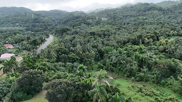 Third image of Hermitage Farm, Portland in Hope Bay, Portland, Jamaica - property is For Sale