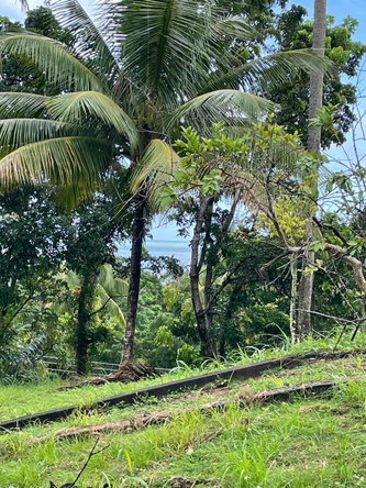 Fifth image of Hermitage Farm, Portland in Hope Bay, Portland, Jamaica - property is For Sale