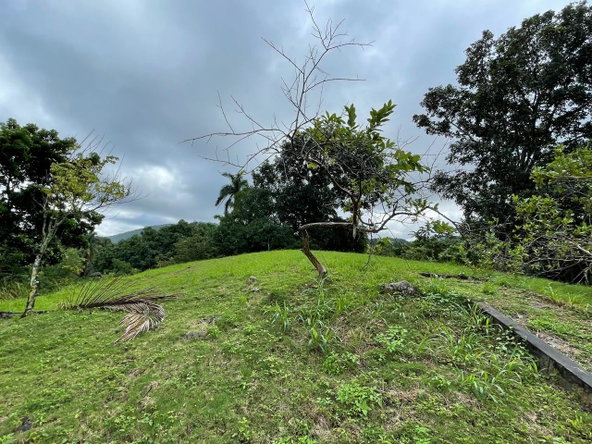 Seventh image of Hermitage Farm, Portland in Hope Bay, Portland, Jamaica - property is For Sale