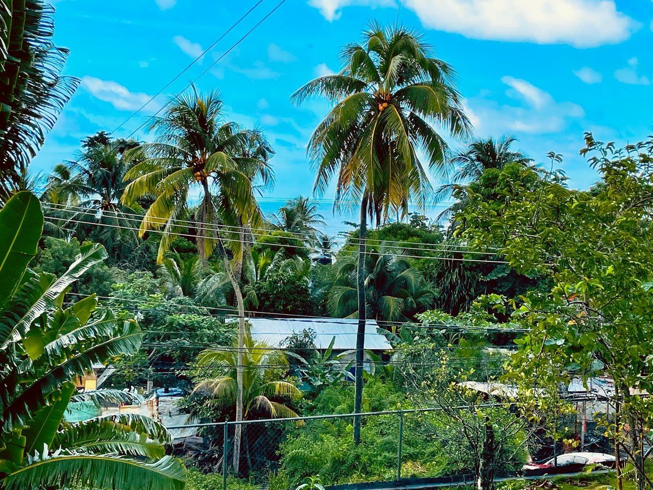 Eighth image of Hermitage Farm, Portland in Hope Bay, Portland, Jamaica - property is For Sale