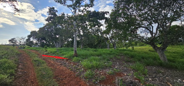 Third image of Lot 40- Cocoa Walk Cross Keys in Cocoa Walk, Manchester, Jamaica - property is For Sale