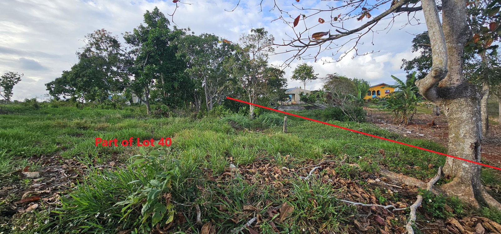 Fourth image of Lot 40- Cocoa Walk Cross Keys in Cocoa Walk, Manchester, Jamaica - property is For Sale