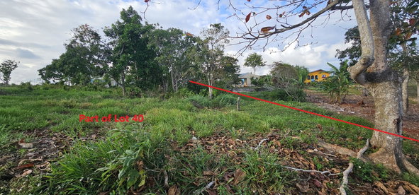 Fourth image of Lot 40- Cocoa Walk Cross Keys in Cocoa Walk, Manchester, Jamaica - property is For Sale
