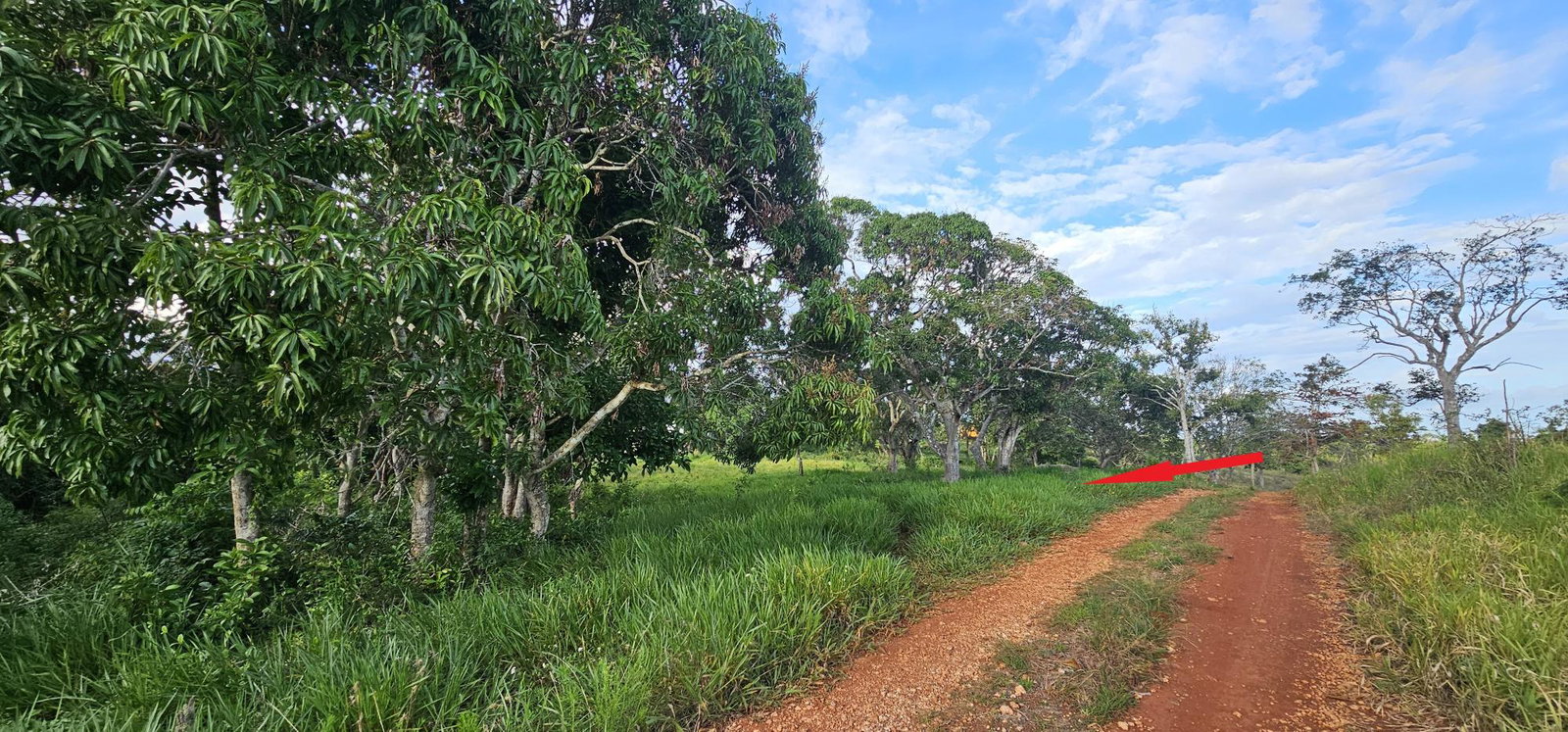 Fifth image of Lot 40- Cocoa Walk Cross Keys in Cocoa Walk, Manchester, Jamaica - property is For Sale