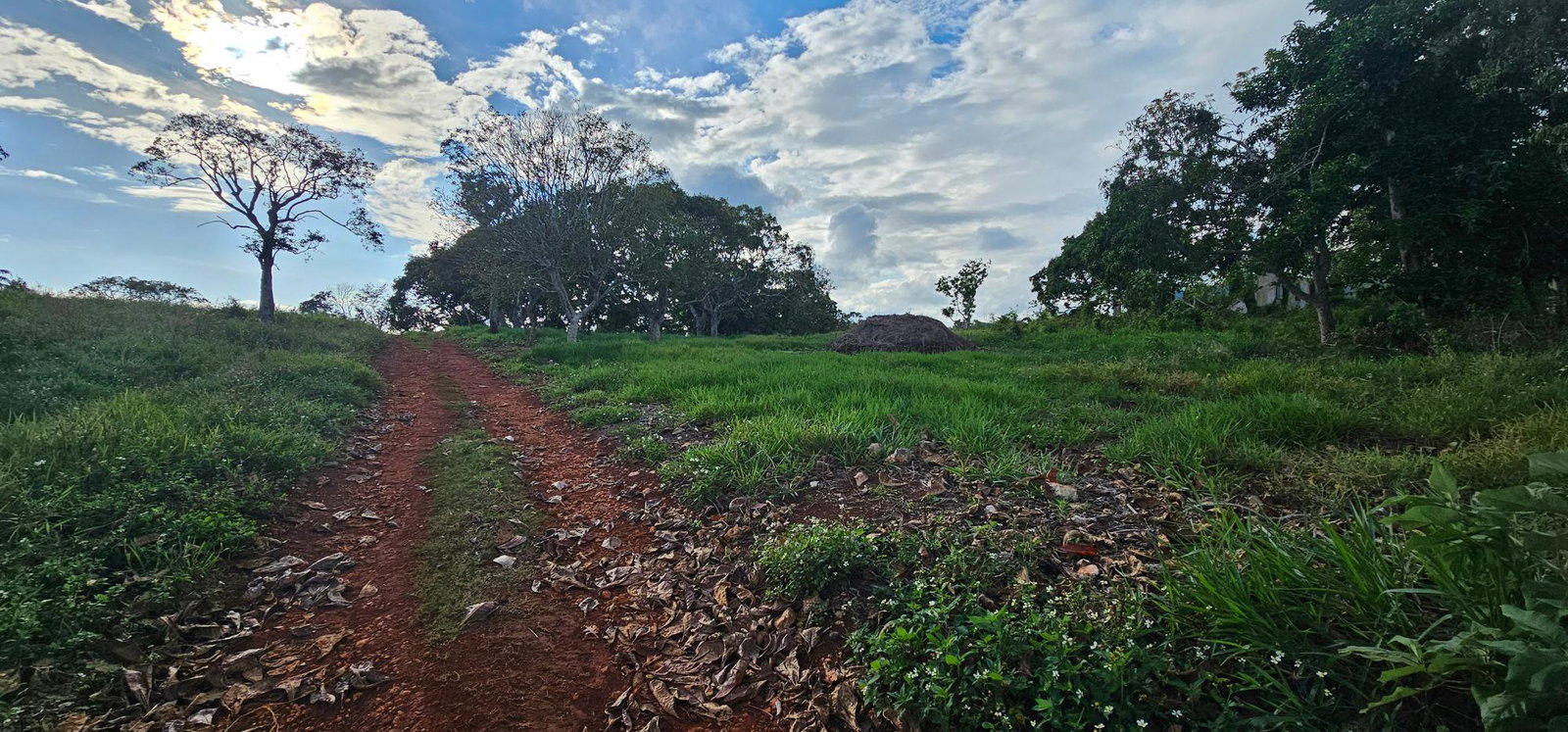 Sixth image of Lot 40- Cocoa Walk Cross Keys in Cocoa Walk, Manchester, Jamaica - property is For Sale
