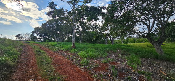 Seventh image of Lot 40- Cocoa Walk Cross Keys in Cocoa Walk, Manchester, Jamaica - property is For Sale