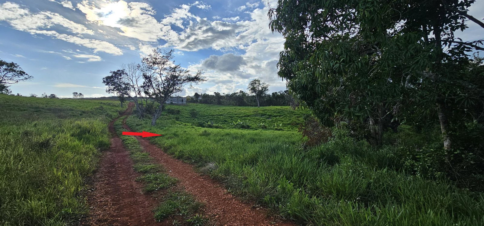 Third image of Lot 41- Cocoa Walk District, Cros in Cocoa Walk, Manchester, Jamaica - property is For Sale