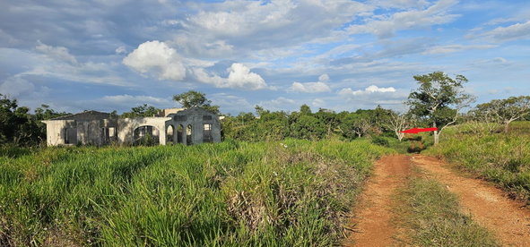 Fifth image of Lot 41- Cocoa Walk District, Cros in Cocoa Walk, Manchester, Jamaica - property is For Sale