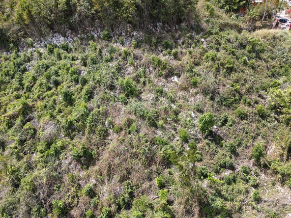 Nineteenth image of 6 Sterling Castle, Kingston in Kingston 19, St. Andrew, Jamaica - property is For Sale
